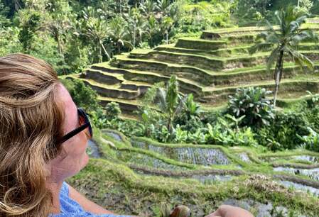 Fietsen door de rijstvelden