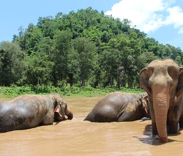 Thailand best local experiences