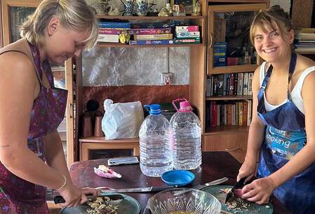 Kandy tempel & city homestay