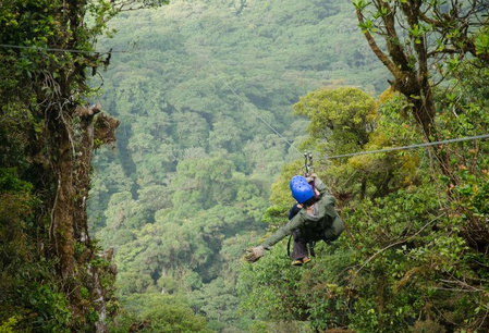 Boomtop zweven in het regenwoud