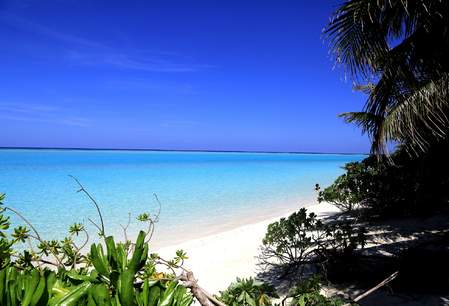 Tropisch eilandleven Malediven