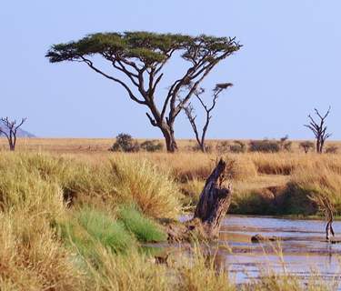 Tanzania rondreis in een notendop
