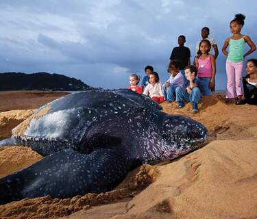Suriname rondreis met 3 generaties