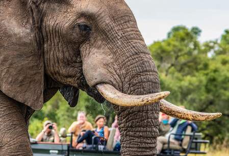 Kruger Park private lodge safari