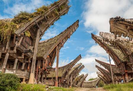 Tana Toraja homestay trekking